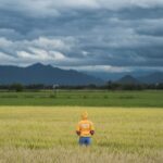 Dejar de caminar sin rumbo