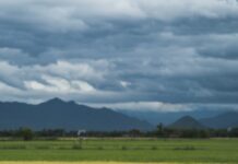 Dejar de caminar sin rumbo